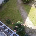 Celeste Apartment-San Frediano