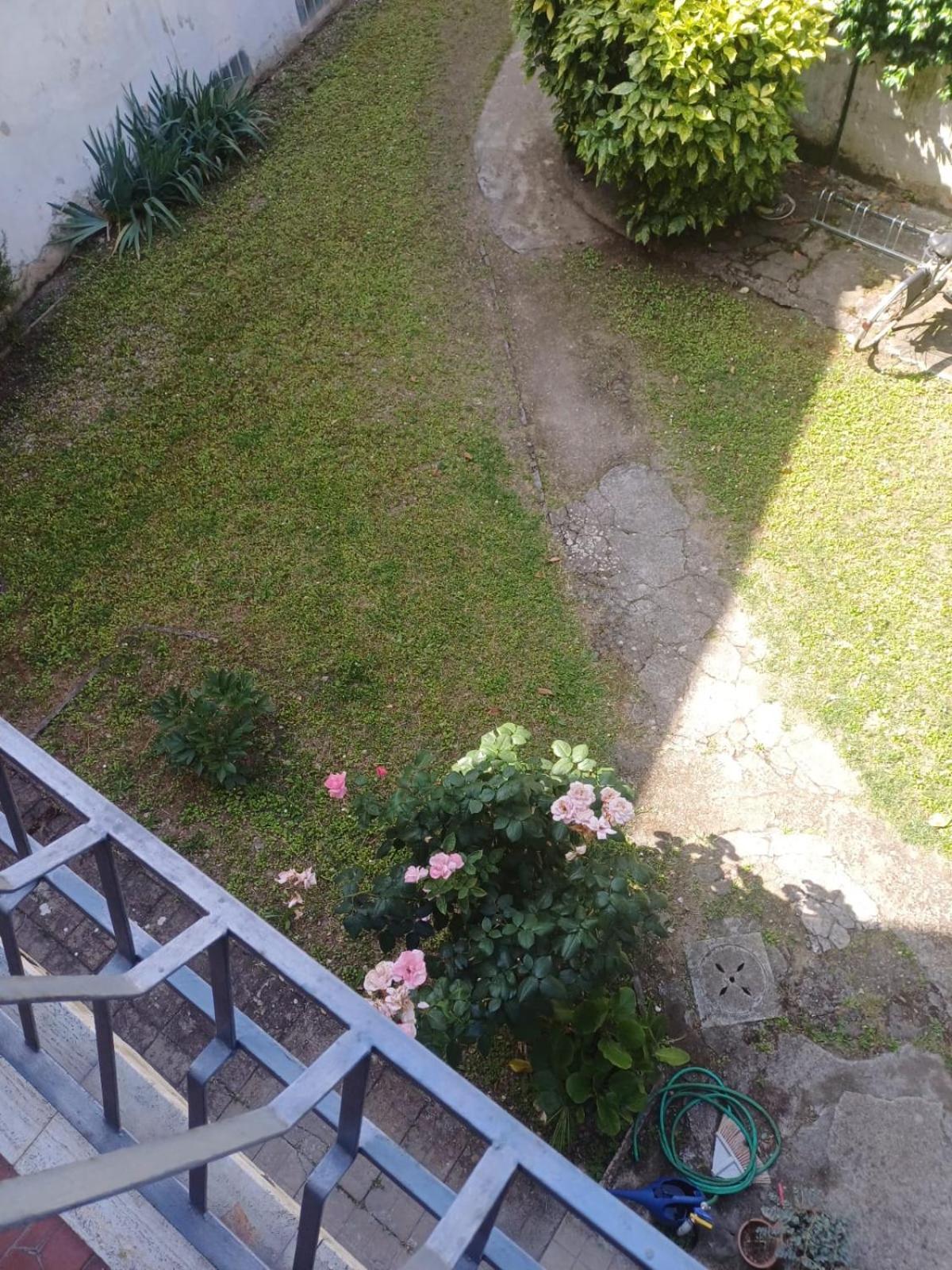 Celeste Apartment-san Frediano * Florence